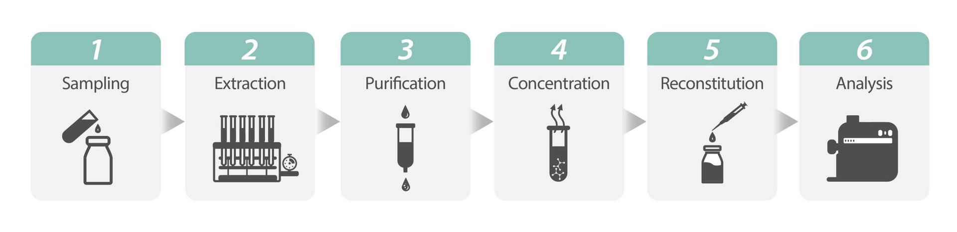 Etapas de la preparación de muestras según Rocker: muestreo, extracción, purificación, concentración, reconstitución y análisis.
