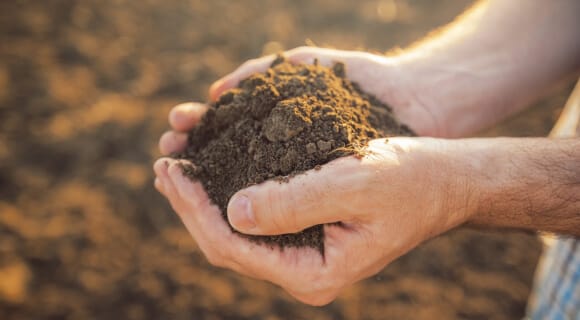 diferentes clasificaciones de sueños para fines de ingenieria