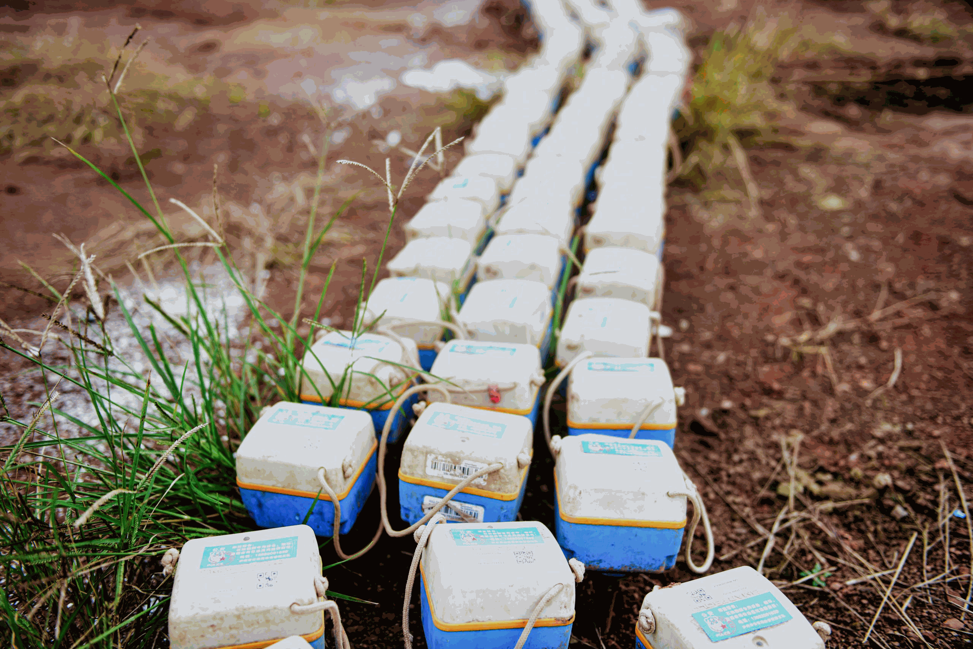 EXPLORACIÓN 3D SMARTSOLO PARA GAS DE ESQUISTO