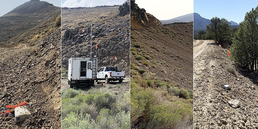 PÁJARO SÍSMICO VOLANDO SOLO EN TIEMPOS TURBULENTOS