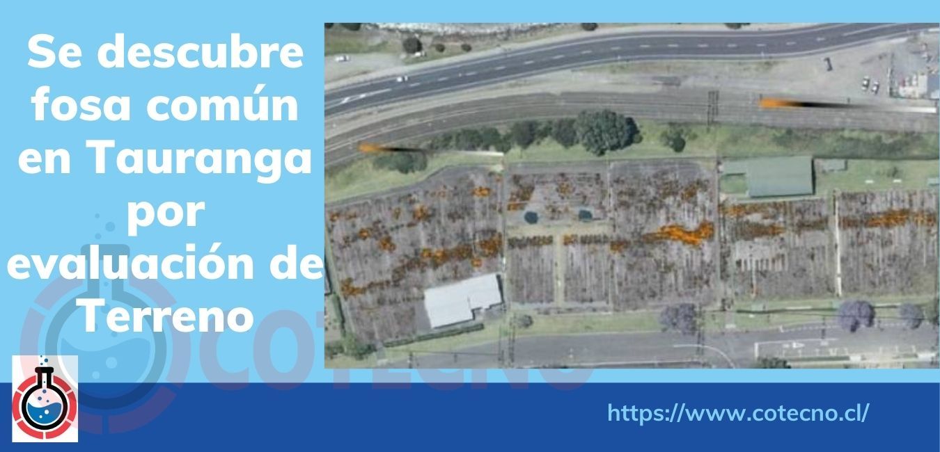 Se descubre fosa común en Tauranga por evaluación de terreno