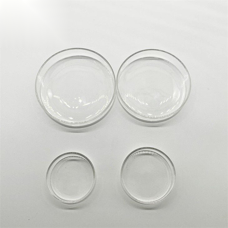 laboratory-glass-petri-dish-100mm16286326281.png