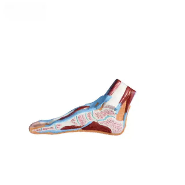 b2-01-29-572 2 (2).webp