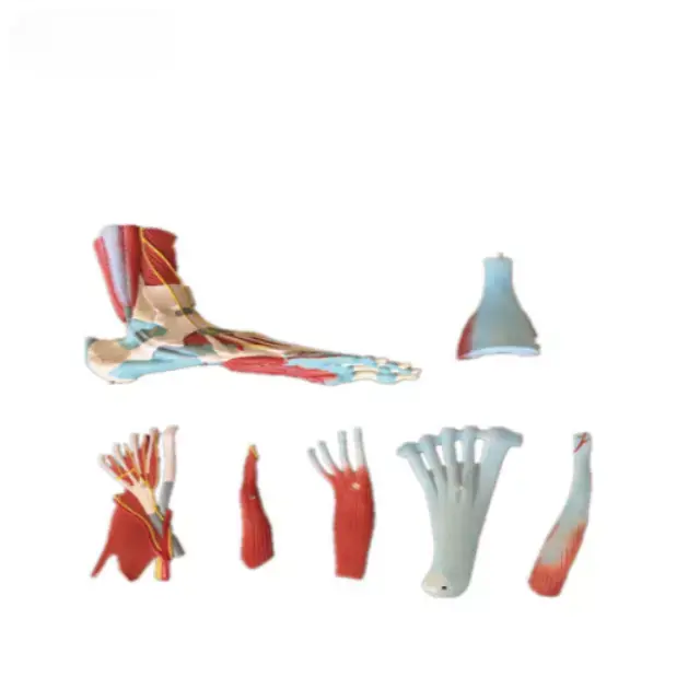 b2-01-29-578 1 (2).webp