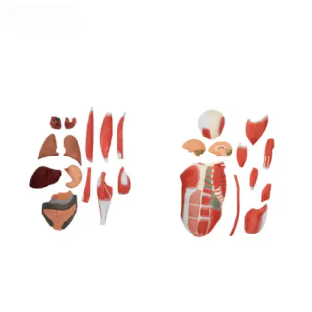 b2-01-29-579 1 (2).webp