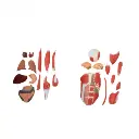 b2-01-29-579 1 (2).webp