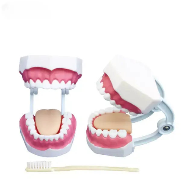 b2-01-29-589.1 (2).webp