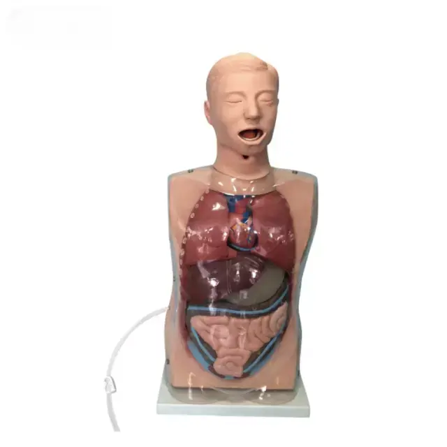 b2-01-29-592.1 (2).webp