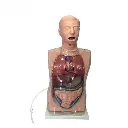 b2-01-29-592.1 (2).webp