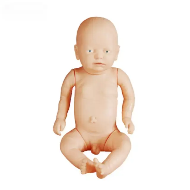 b2-01-29-599.1 (2).webp