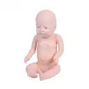 b2-01-29-599.2 (2).webp