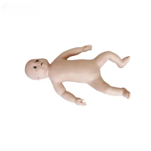 b2-01-29-599.4 (2).webp