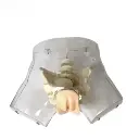 b2-01-29-598.4 (2).webp