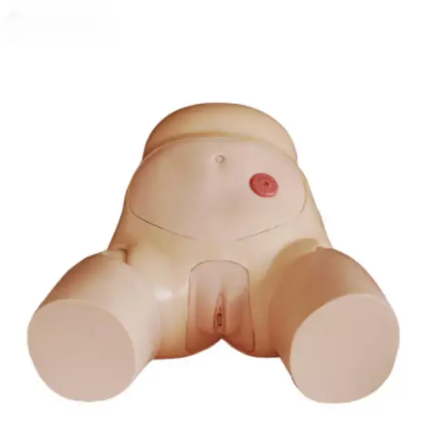 b2-01-29-598.2 (2).webp