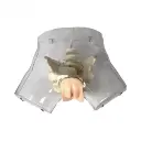 b2-01-29-613.1 (2).webp