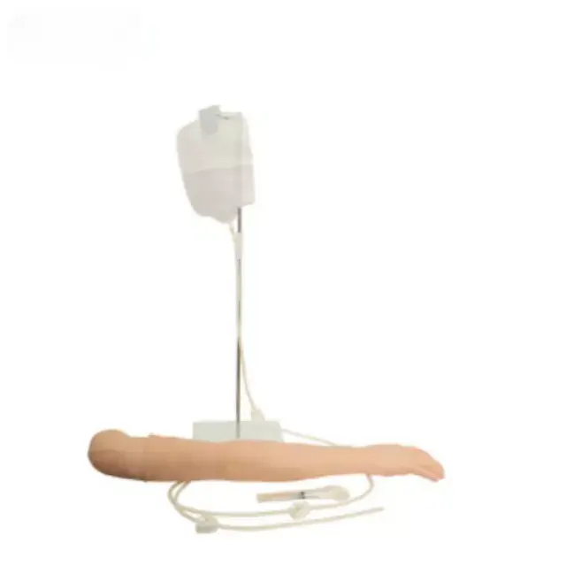 b2-01-29-627.2 (2).webp