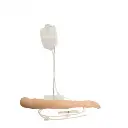 b2-01-29-627.2 (2).webp