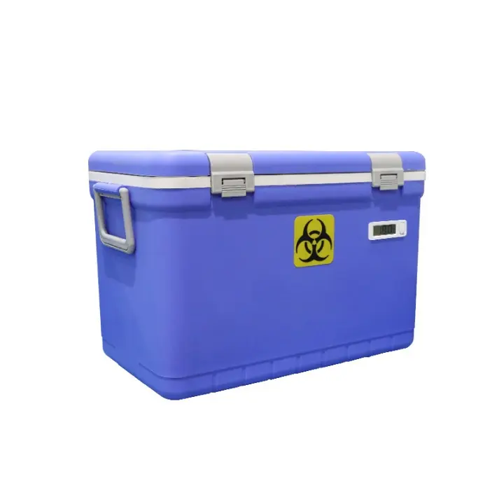 33L_cleanup.webp