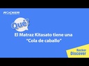 Matraz receptor de vidrio de 1000 mL - video: Qué? El Matraz Kitasato tiene una“Cola de caballo”