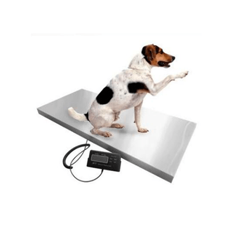 Balanza veterinaria - WP