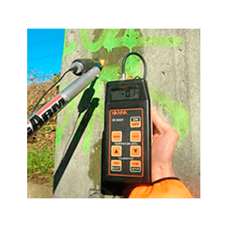 Mini great dane - WP