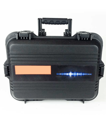 Estuche de transporte rigido grande premium - WP