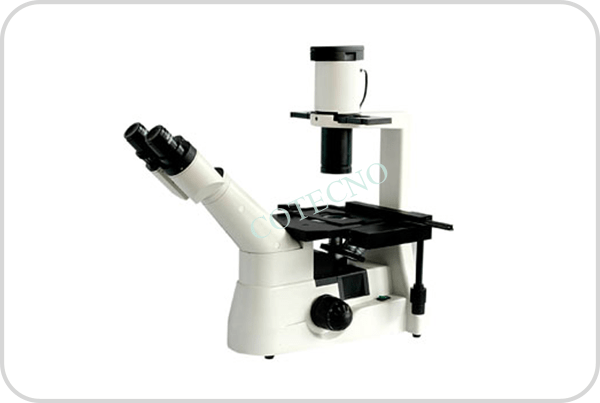 Microscopio biologico invertido II - marca belltronic - WP