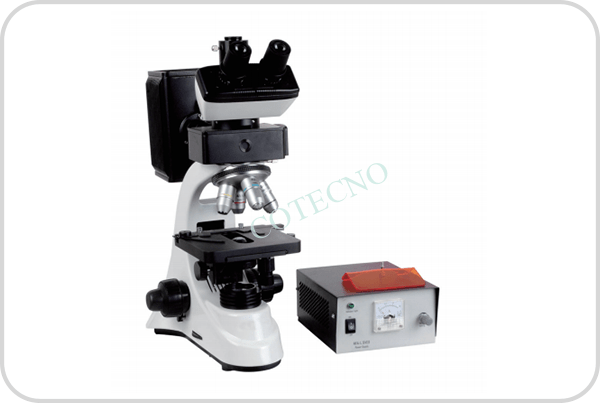 Microscopio biologico de fluorescencia - marca belltronic - WP
