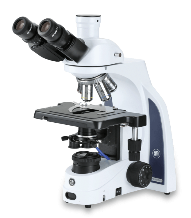 Microscopio iscope campo oscuro - WP
