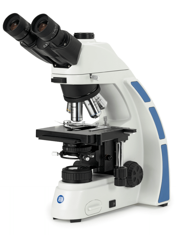 Microscopio oxion - WP