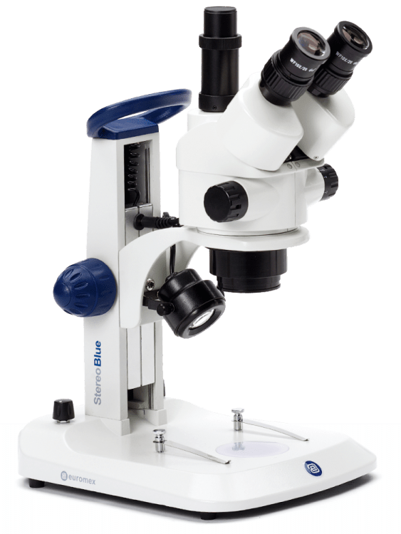 Microscopio StereoBlue - WP
