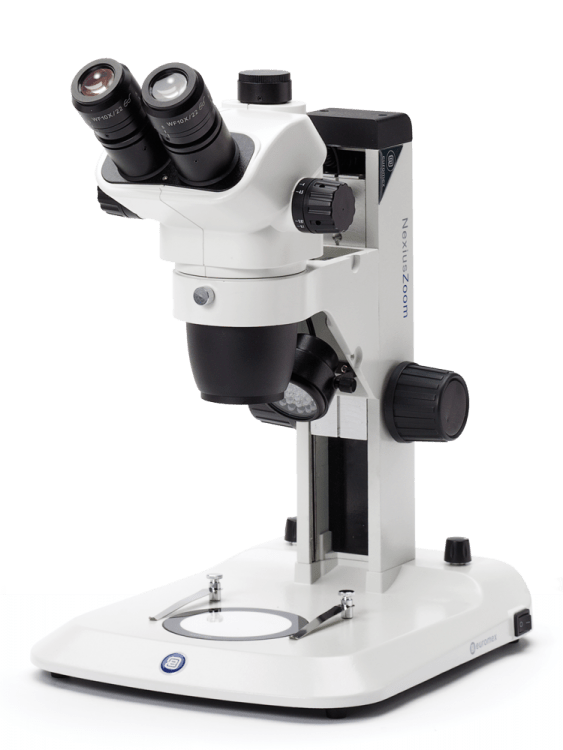 Microscopio NexiusZoom EVO - WP