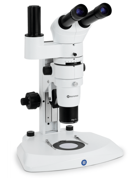 Microscopio serie DZ - WP