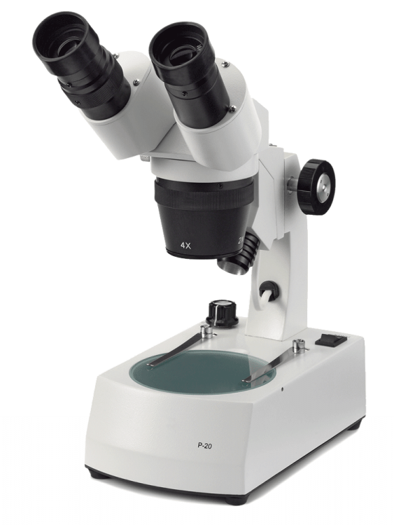 Microscopio serie p - WP