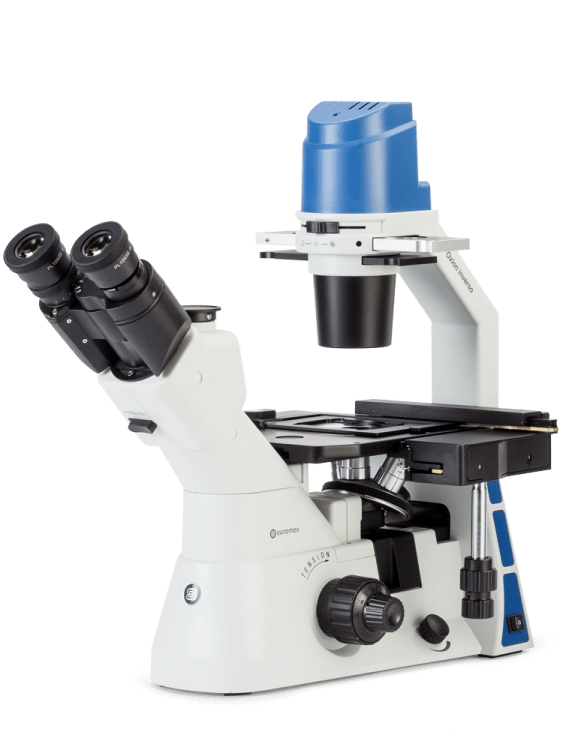 Oxion inverso (biologico de platina invertida) - WP