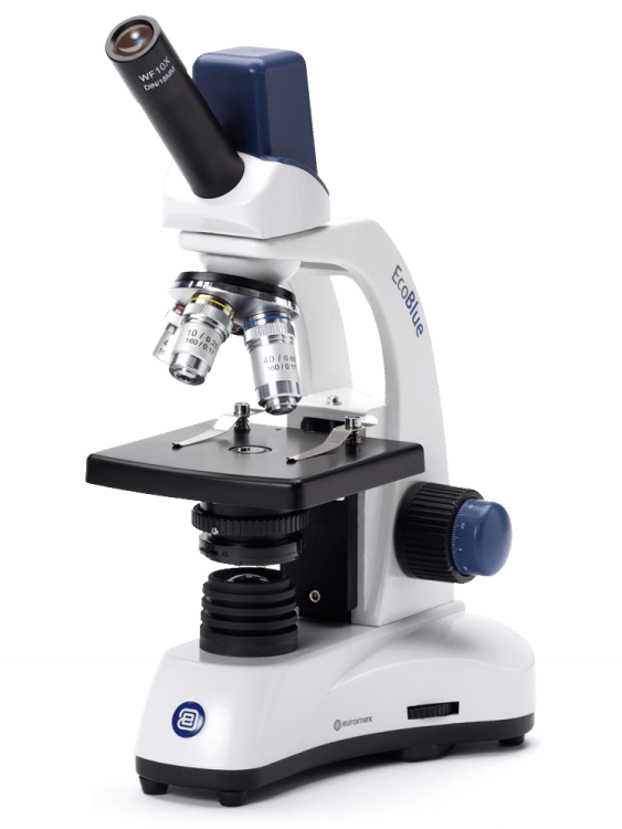 Microscopio EcoBlue digital - WP