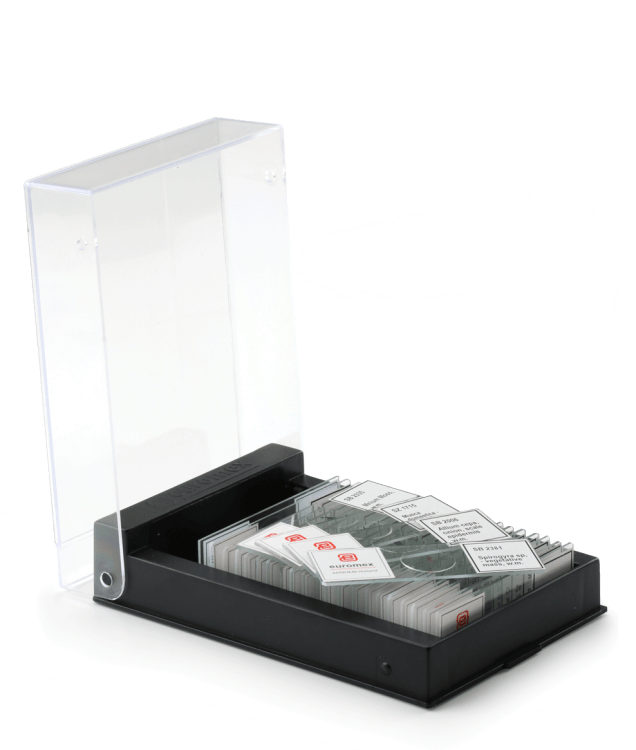 Cajas de preparaciones con 25 muestras para microscopios - WP