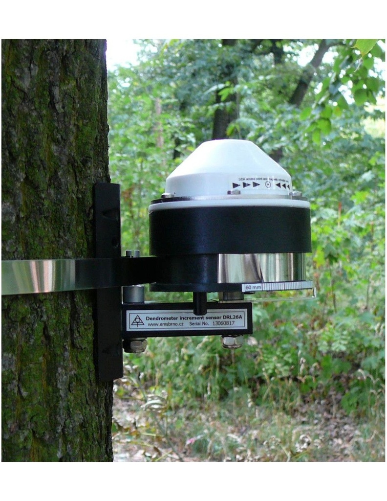 Registrador/Dendrometro de crecimiento del tronco - WP