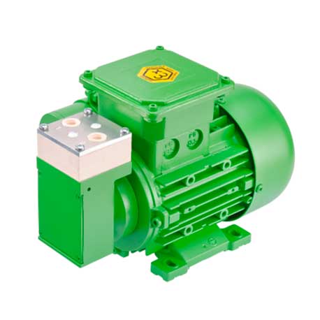 Bomba de gas de diafragma n 87 ex - WP