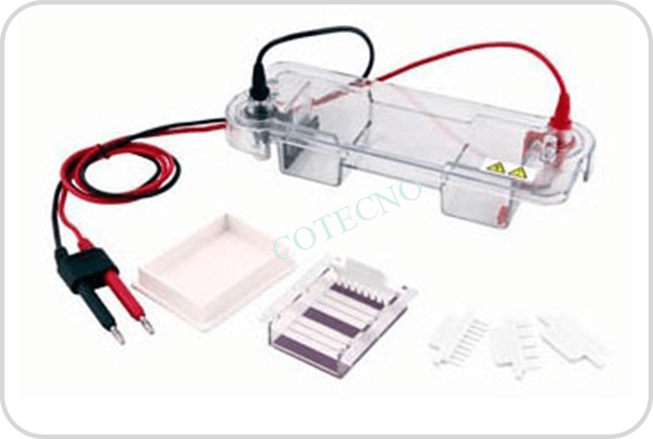 Tanque horizontal de electroforesis BellTanqElecHor-1 - WP