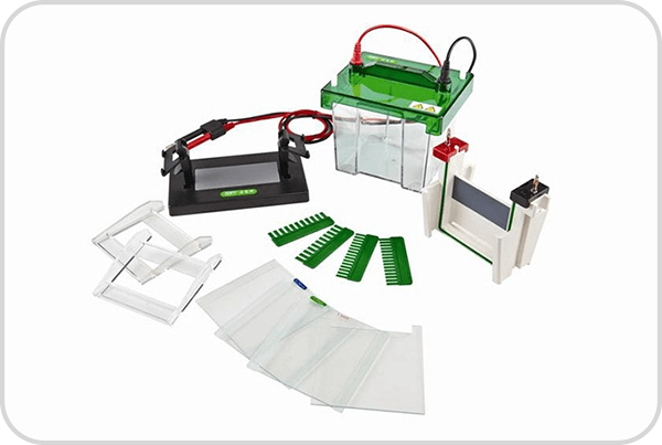 Tanque de electroforesis vertical BellTanqElecVert-1 - WP