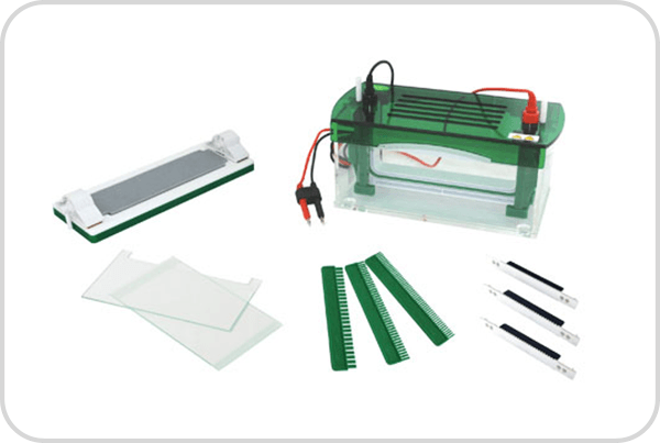 Tanque de electroforesis vertical BellTanqElecVert-2 - WP