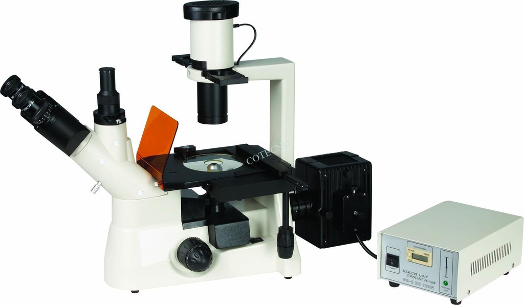 Microscopio fluorescente invertido BellO-MicFluoInv-1 - WP