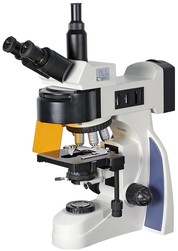 Microscopio fluorescente LED BellO-MicFlouLED-1 - WP