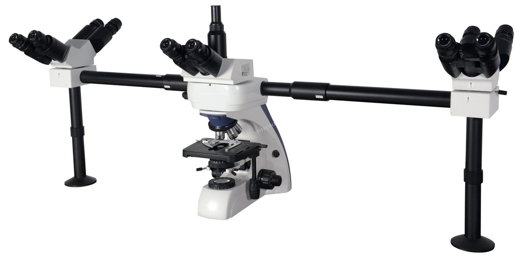 Microscopio biologico BellO-MicBioDMV-1 - WP