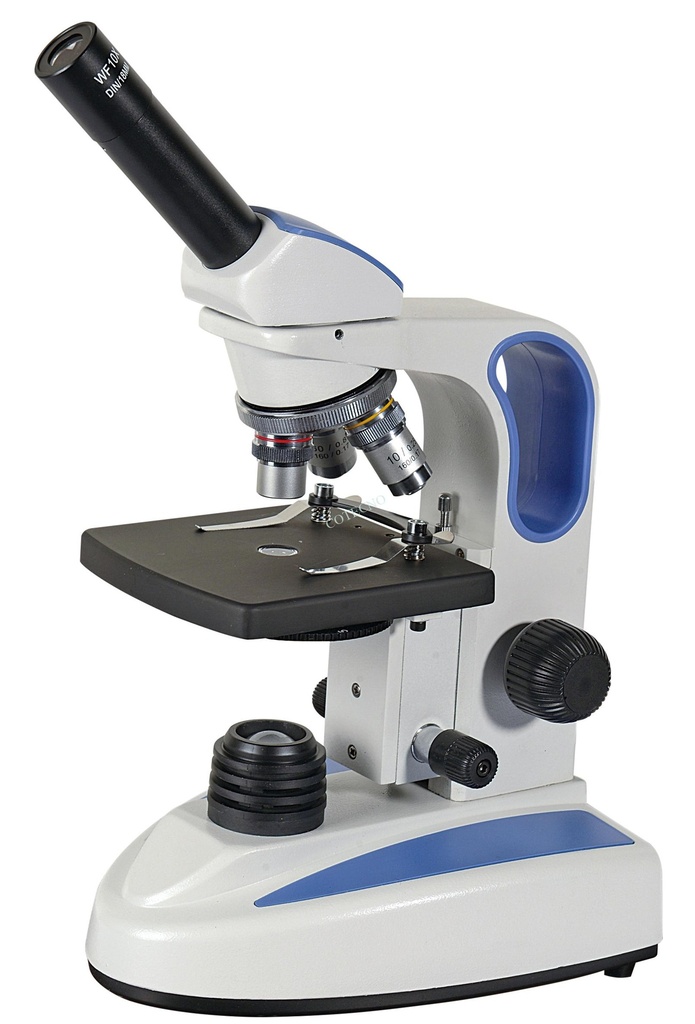 Microscopio BellO-MicBioT-A - WP