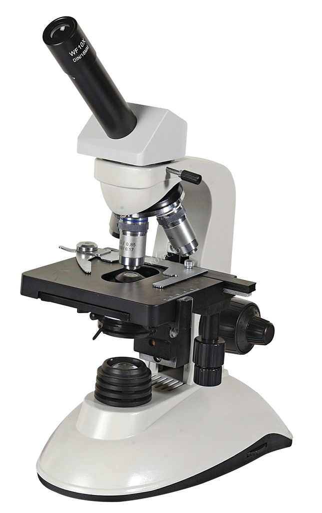 Microscopio BellO-MicBio-ND - WP