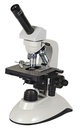 Microscopio BellO-MicBio-ND - WP