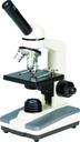 Microscopio BellO-MicBioT-M - WP