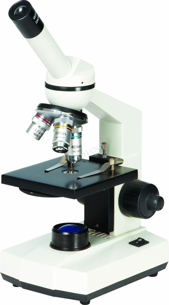Microscopio BellO-MicBioT-J - WP